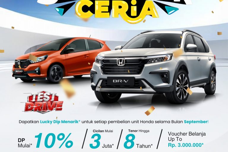 WhatsApp Image 2024-09-11 at 15.44.12