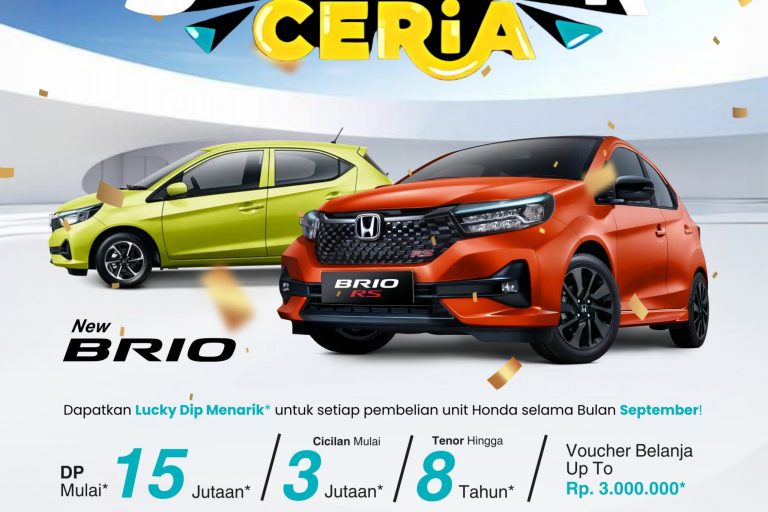 WhatsApp Image 2024-09-11 at 15.44.12(1)