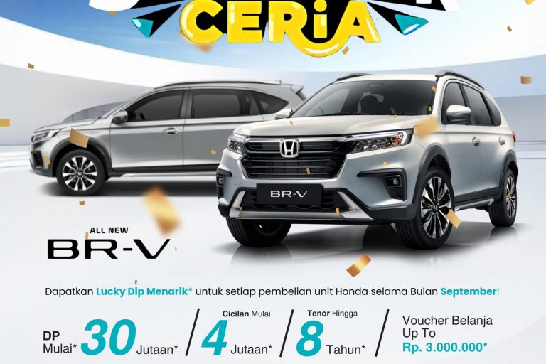 WhatsApp Image 2024-09-11 at 15.44.13