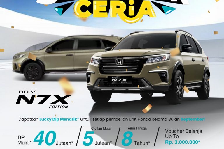 WhatsApp Image 2024-09-11 at 15.44.13(1)