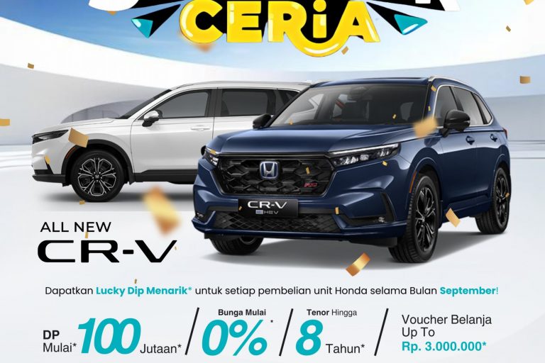 WhatsApp Image 2024-09-11 at 15.44.16