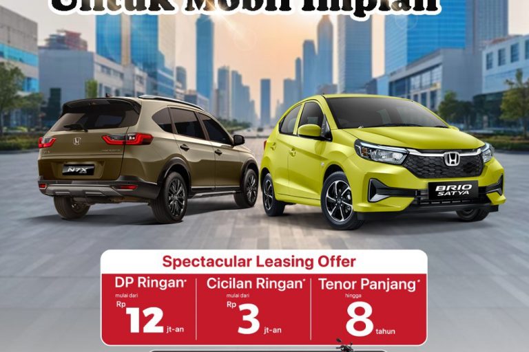 WhatsApp Image 2024-10-14 at 05.31.03