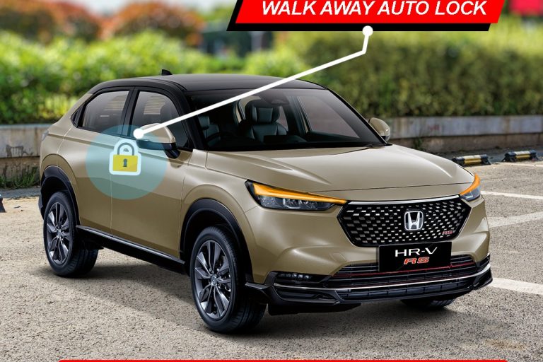 WhatsApp Image 2024-11-04 at 15.57.20