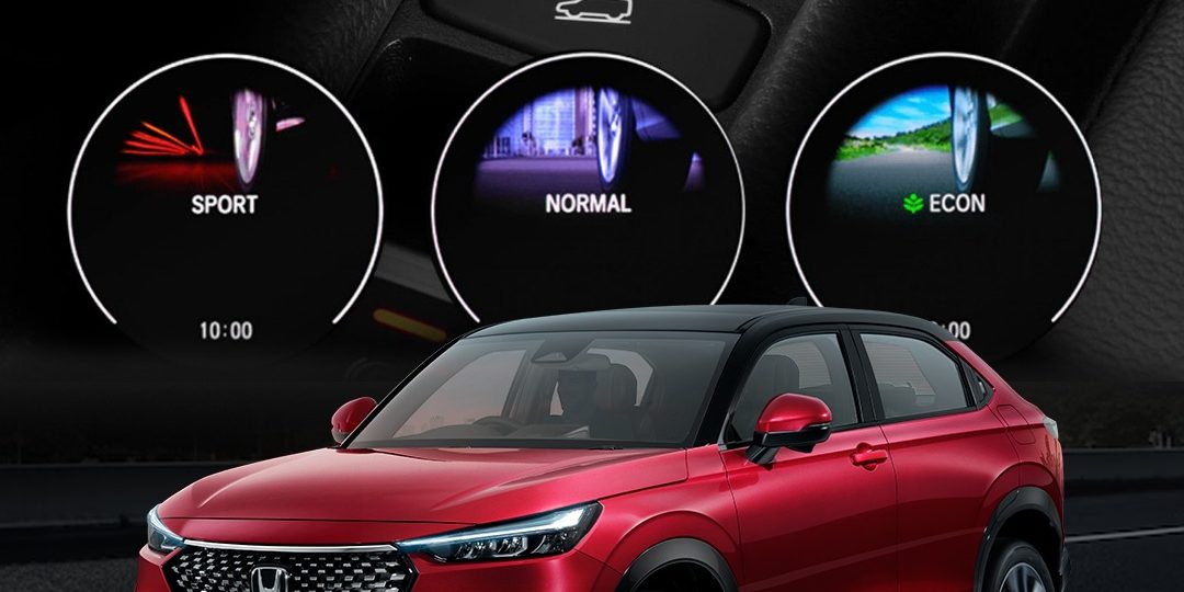 WhatsApp Image 2025-01-03 at 10.35.54 (1)