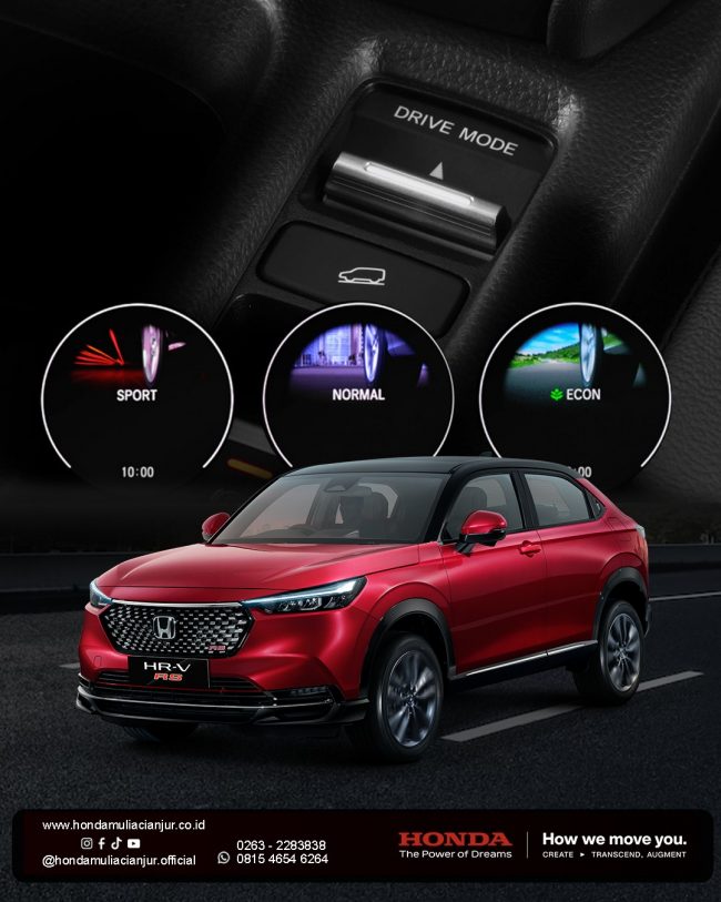 WhatsApp Image 2025-01-03 at 10.35.54 (1)