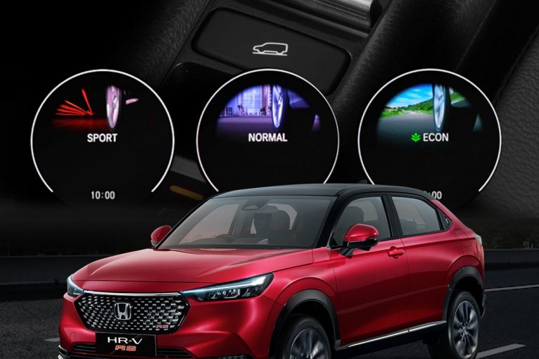 WhatsApp Image 2025-01-03 at 10.35.54 (1)