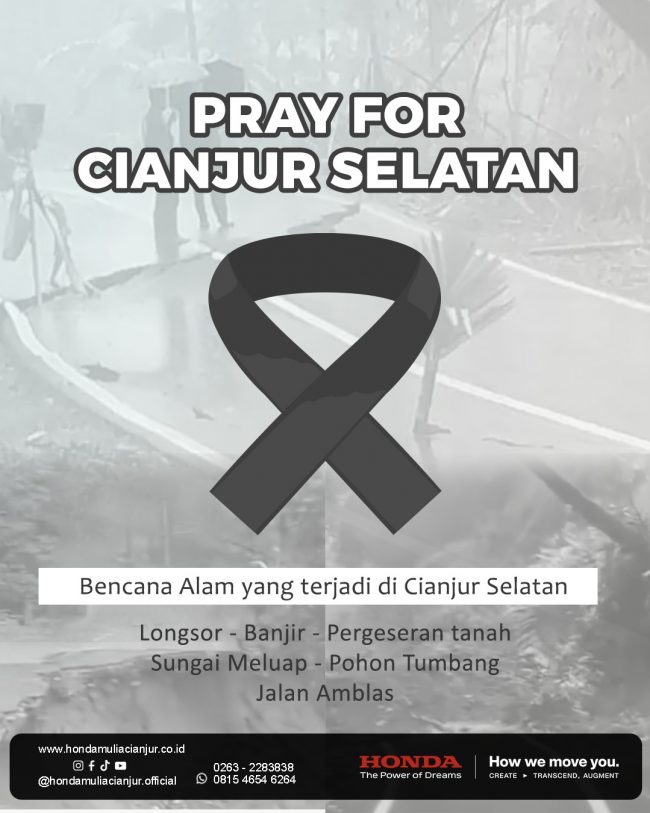 WhatsApp Image 2025-01-03 at 10.35.54