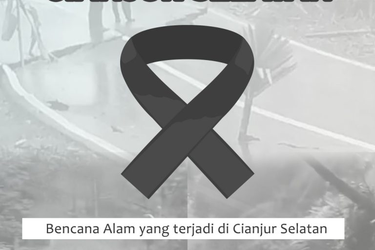 WhatsApp Image 2025-01-03 at 10.35.54