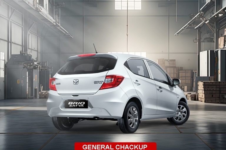 WhatsApp Image 2025-01-03 at 10.35.55