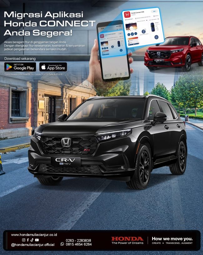 WhatsApp Image 2025-01-03 at 10.35.56 (2)