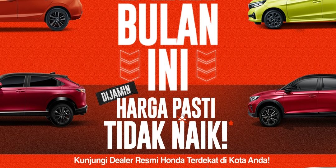 WhatsApp Image 2025-01-03 at 10.35.57 (1)