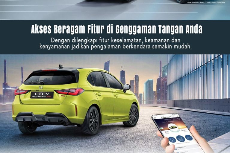 WhatsApp Image 2025-01-30 at 18.13.03 (2)