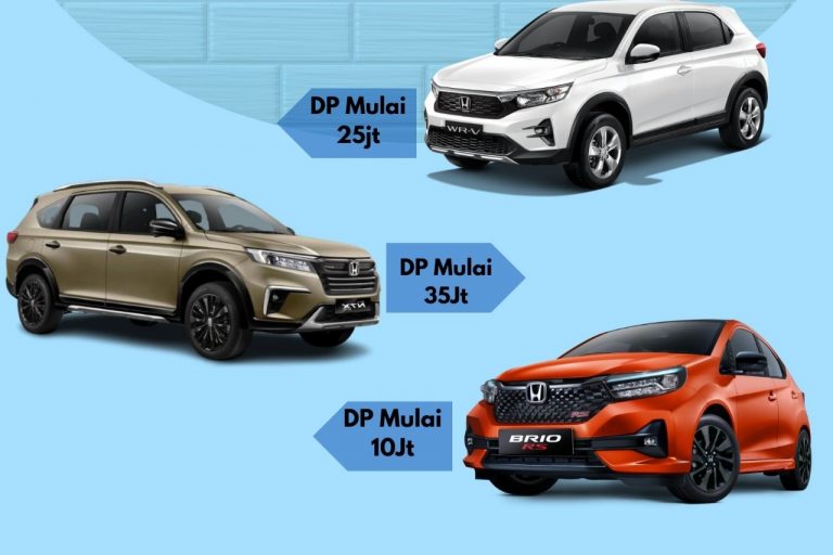 WhatsApp Image 2025-01-30 at 18.13.11 (1)