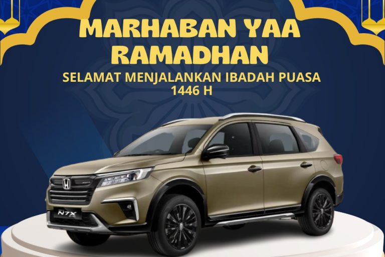 WhatsApp Image 2025-03-20 at 14.34.02